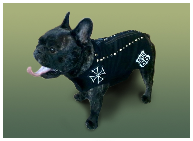 Knobelbecher - Armee und Freizeitartikel - Hundemantel Knobelbecher - Armee und Freizeitartikel - Hundemantel