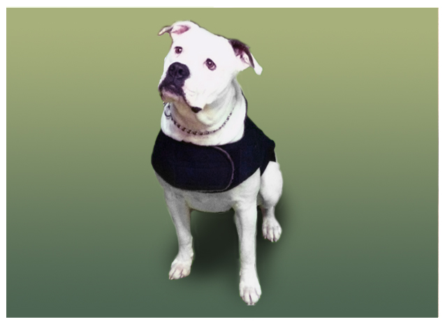 Knobelbecher - Armee und Freizeitartikel - Hundemantel Knobelbecher - Armee und Freizeitartikel - Hundemantel
